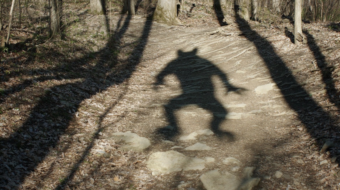 Shadow of a small, troll-like creature with pointed ears and claws cast on a wooded trail in Indiana’s Mound State Park