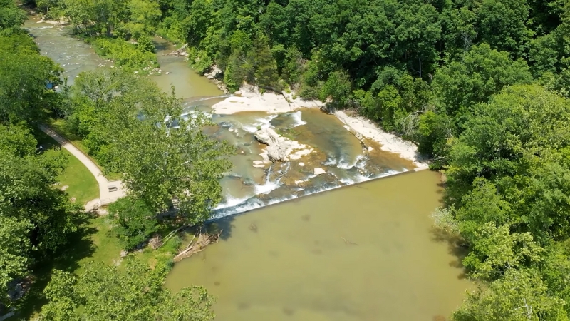 A view of Cataract Falls surrounded by forest, where bald eagles and other birds are often seen near the lake and waterfall