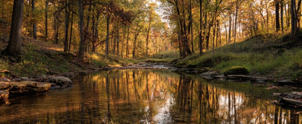 A calm forest stream reflecting golden autumn leaves in Brown County, Indiana