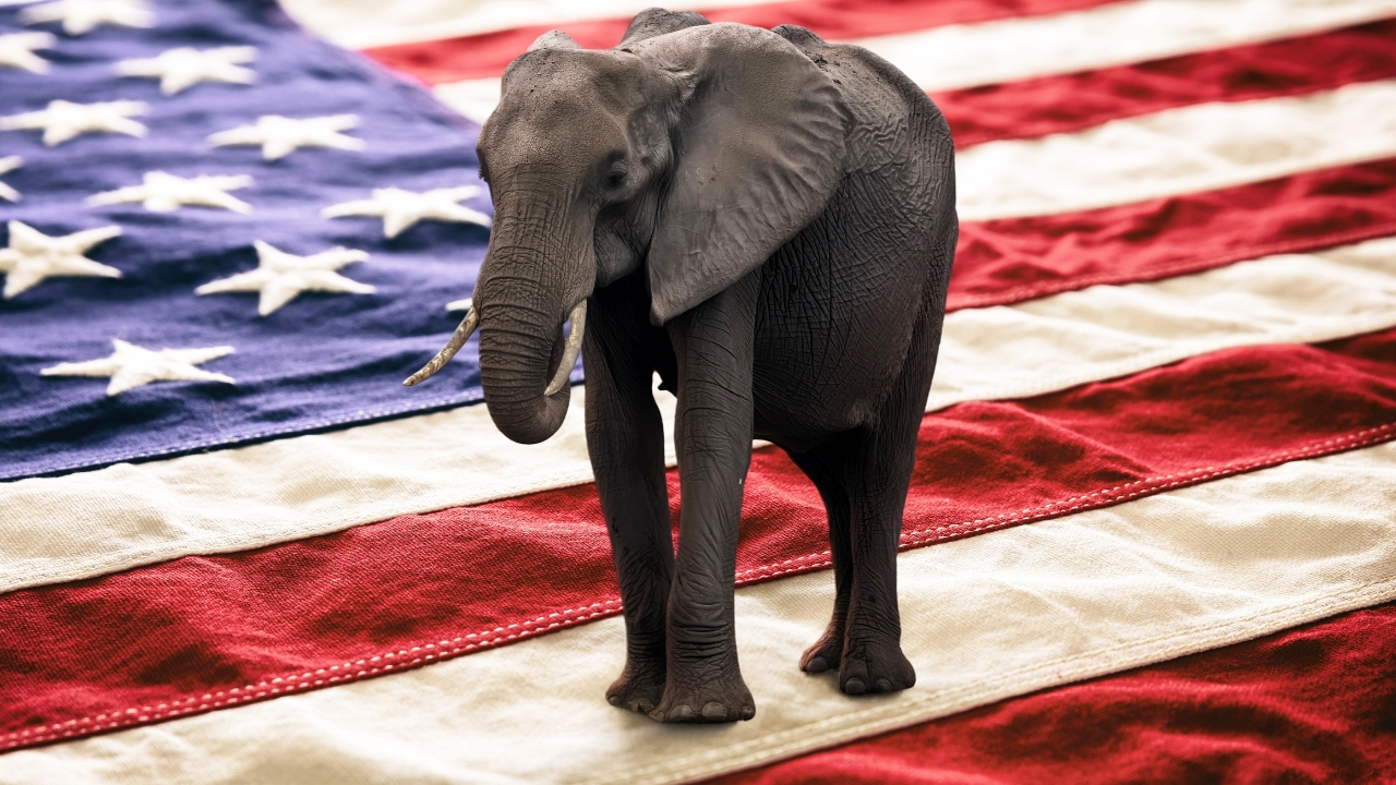 An elephant stands on an American flag as a symbol of Republican politics