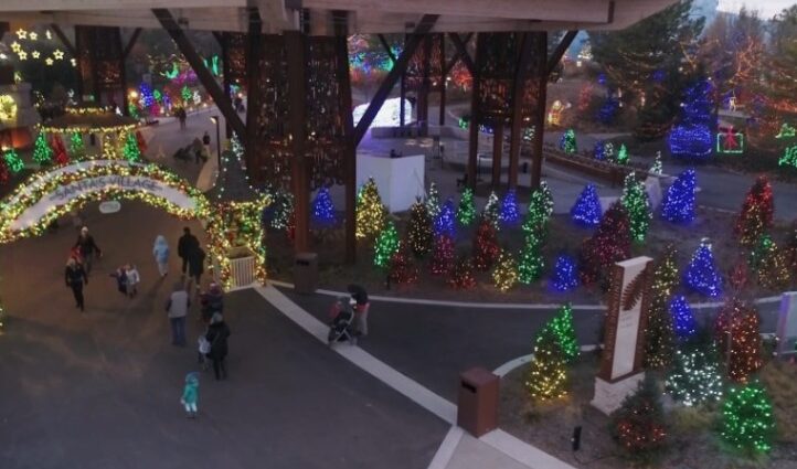 A festive holiday display under a large structure features glowing trees