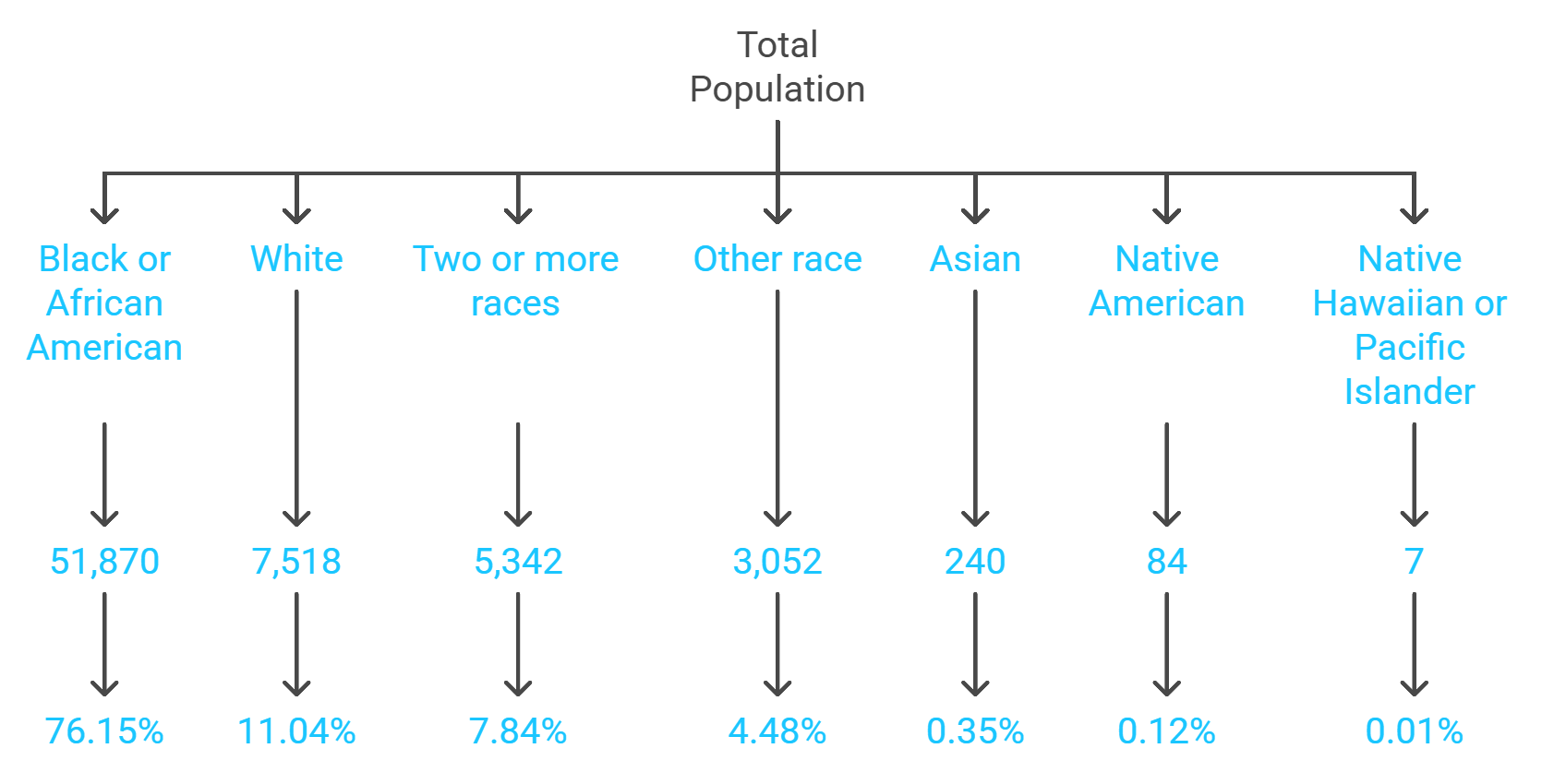 Gary, Indiana Demographics