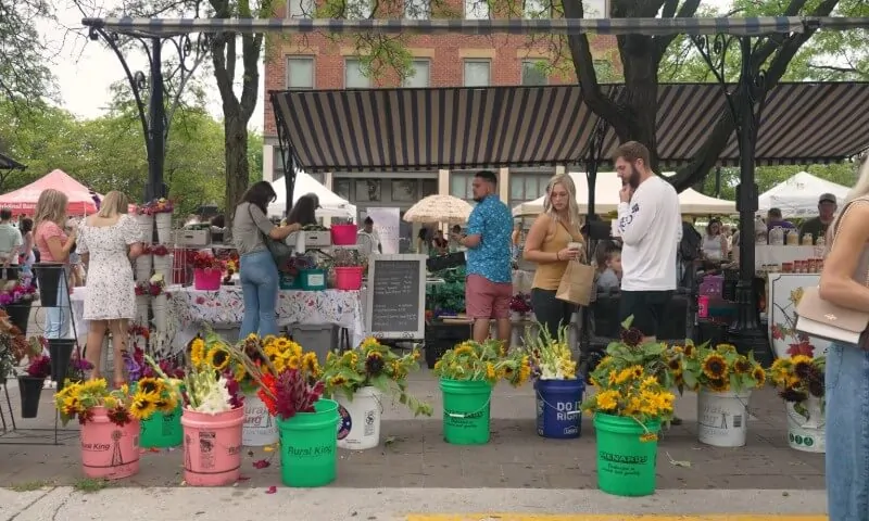People browse vibrant flower displays at an outdoor market