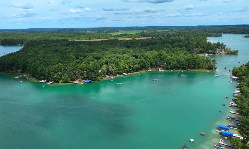 Aerial view of a serene lake bordered by lush green trees on a bright day